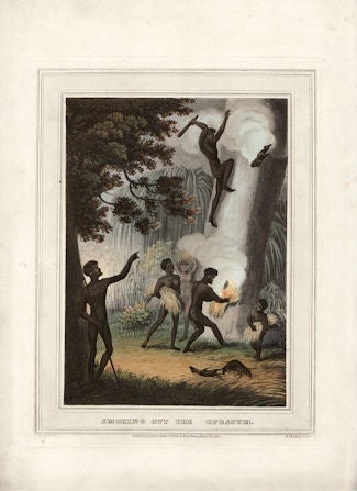 Stock ID #136349 Smoking Out The Opossum. Aboriginals Hunting Possums. Antique Print. J. H. CLARK, JOHN HEAVISIDE.