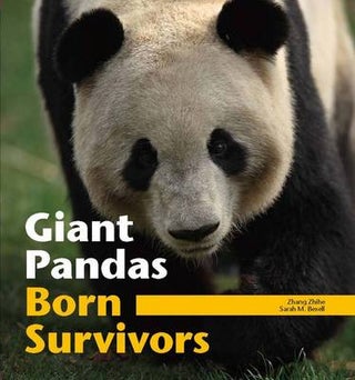 Stock ID #140715 Giant Pandas. Born Survivors. ZHANG ZHIHE AND SARAH BEXELL