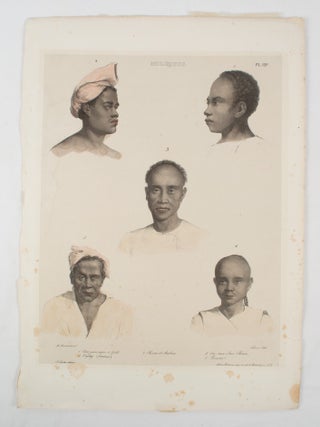 Stock ID #174660 Moluques. LOUIS AUGUSTE DE AND LELIEVRE SAINSON, LITHOGRAPHER