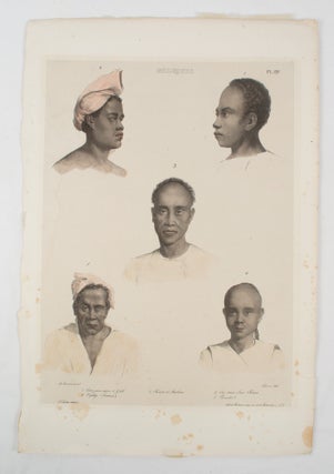 Stock ID #174660 Moluques. LOUIS AUGUSTE DE AND LELIEVRE SAINSON, LITHOGRAPHER