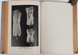 濠州羊毛の研究. [Gōshū yōmō no kenkyū]. [A Study on Australian Wool].