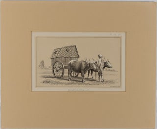 Stock ID #175921 Ceylon Buffalo Cart. JULIUS BIEN, CO