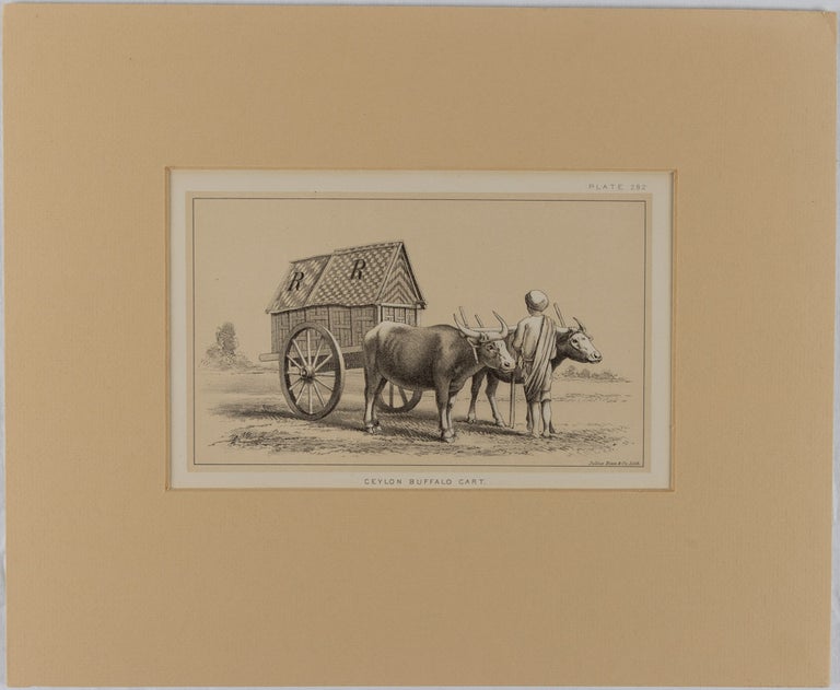 Stock ID #175921 Ceylon Buffalo Cart. JULIUS BIEN, CO.