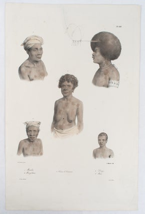 Stock ID #175988 Mambeo, Mangobarac, Femme de Kouaoui, Dorey, Mani. LOUIS AUGUSTE DE SAINSON, A....