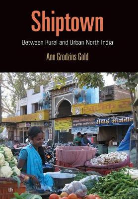 Stock ID #176814 Shiptown. Between Rural and Urban North India. ANN GRODZINS GOLD