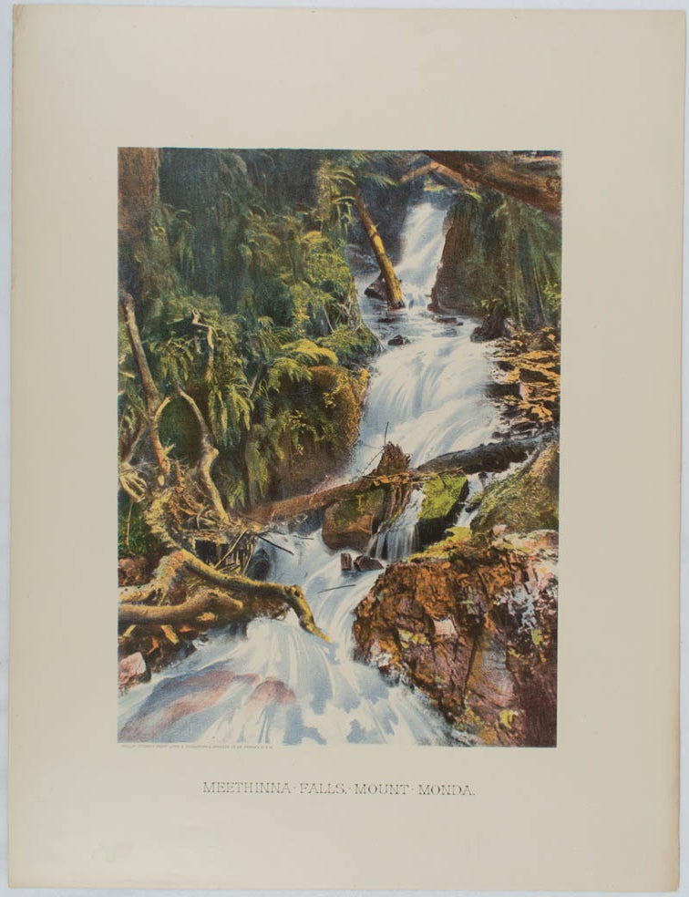 Stock ID #178442 Meethinna Falls, Mount Monda. [caption title]. SAMUEL PHILLIPS, ADAM STEPHAN.