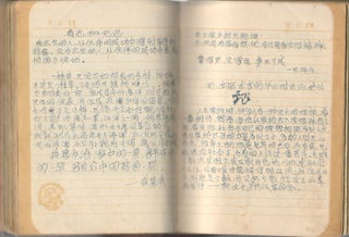 Stock ID #179425 [Diaries of Chen Yufang]. YUFANG CHEN, 陈玉芳