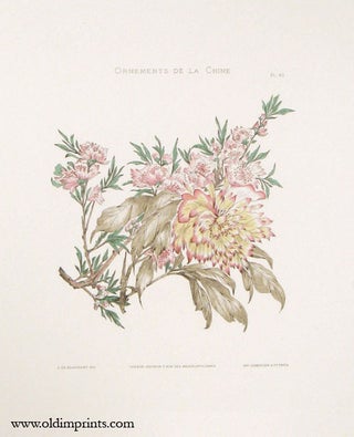 Stock ID #197075 Ornements de la Chine. Plate 40. [Branch with flowers]. CHINA - 19TH C....
