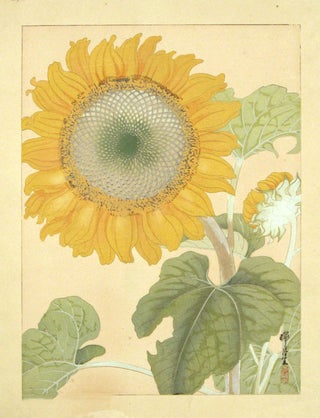 Stock ID #200202 Untitled Japanese Woodblock Print of a Sunflower. IKEDA DUIGETSU....