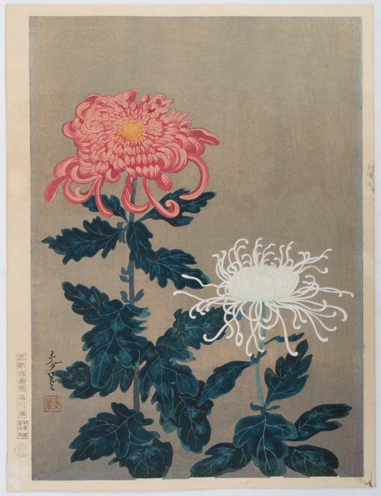 Stock ID #204795 菊. [Kiku]. [Two Chrysanthemum Flowers in Pink and White]. ONO BAKUFU, 大野麦風.