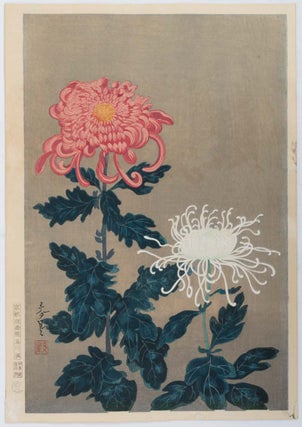Stock ID #204795 菊. [Kiku]. [Two Chrysanthemum Flowers in Pink and White]. ONO BAKUFU,...