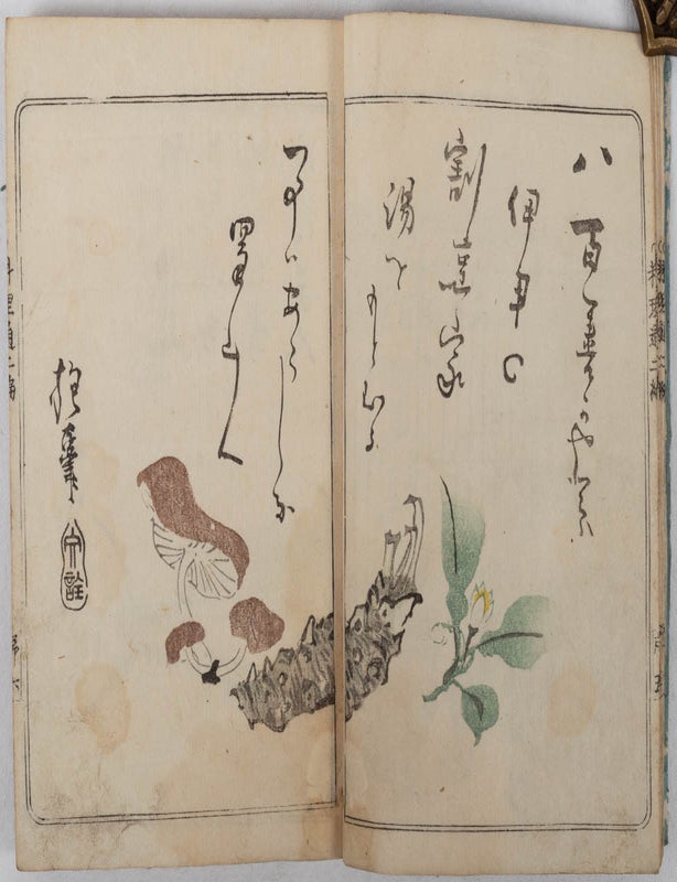 Stock ID #216096 料理通. 後編. [Ryōritsū. Kōhen]. [Gourmet Connoisseur. Second Volume]. JAPANESE COOKERY, 八百善, YAOZEN.
