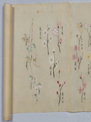 日本画スケッチ集. [Nihonga sukettishū]. [Collection of Japanese Sketches].