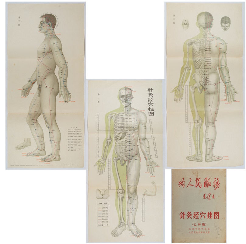 针灸经穴挂图 Zhenjiu jingxue guatu . Acupuncture and Moxibustion Points