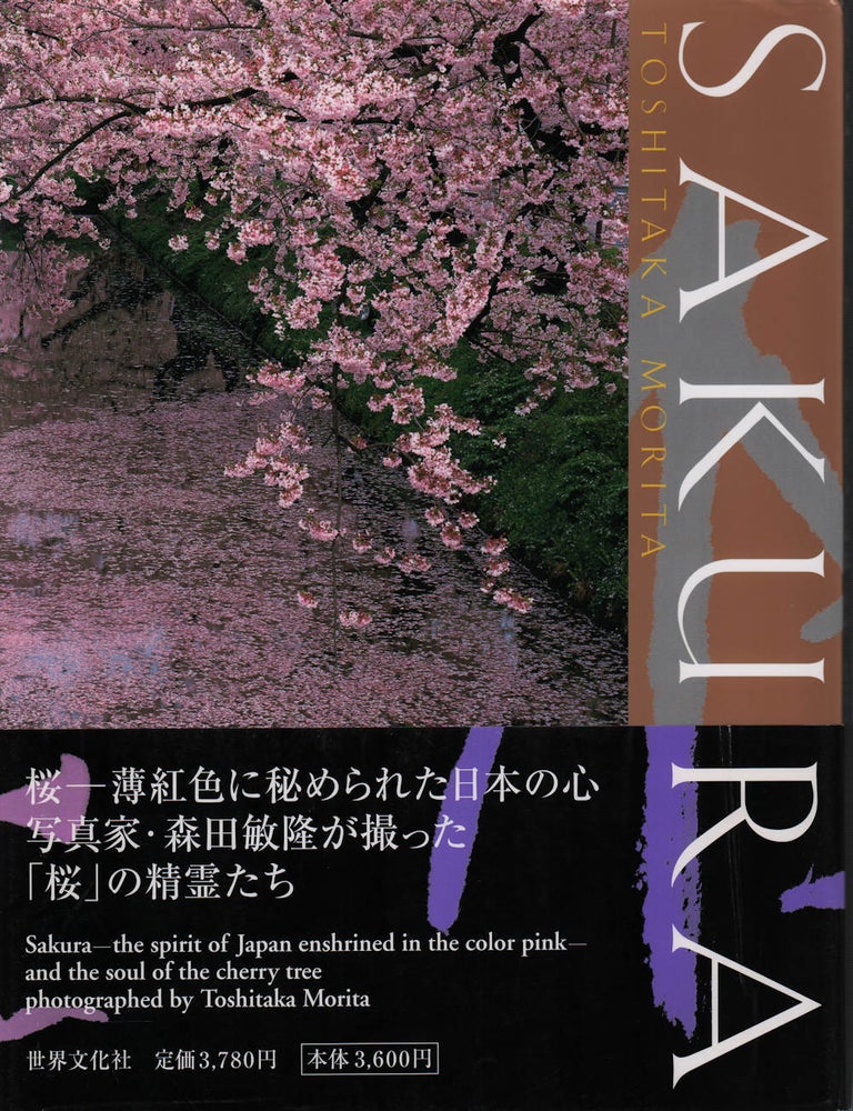 Stock ID #222443 Sakura. TOSHIKATA MORITA.