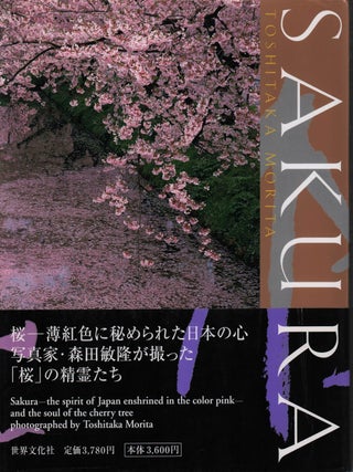 Stock ID #222443 Sakura. TOSHIKATA MORITA