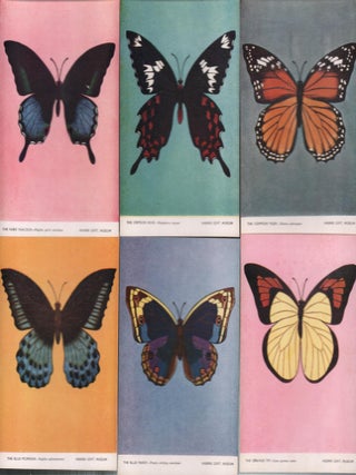 Stock ID #223149 Common Butterflies of Madras. POSTCARDS OF BUTTERFLIES IN MADRAS