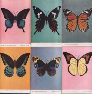Stock ID #223149 Common Butterflies of Madras. POSTCARDS OF BUTTERFLIES IN MADRAS