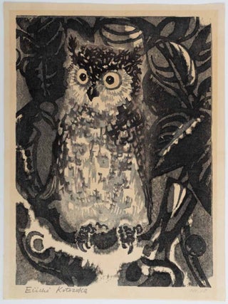 Owl in Foliage at Night. KOTOZUKA EIICHI, 琴塚英一.