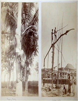 Stock ID #62578 Madras Toddyman Climbing a Tree. [AND] Sweep Well. 19TH CENTURY PHOTOGRAPH.